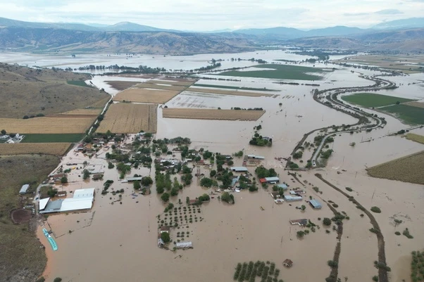 Greek wildlife groups warn against govt flood recovery plan