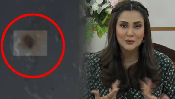 Must Watch: Ladybug enters Fiza Ali’s mouth in live show