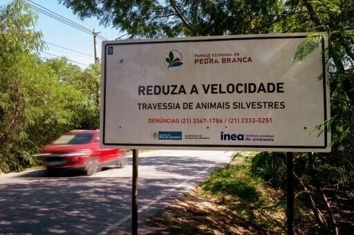 In Brazil, hopes to use AI to save wildlife from roadkill fate