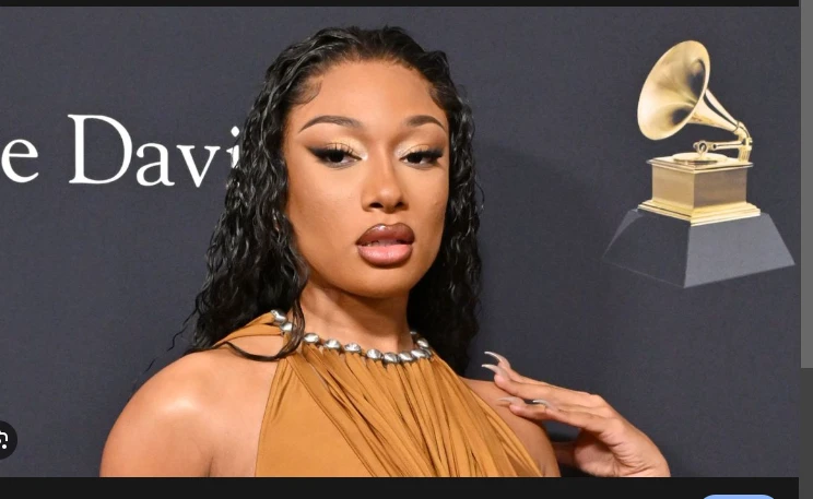 Megan Thee Stallion 'forced employee to watch her having s..': lawsuit