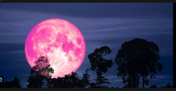 Pink Moon dazzles skies early Wednesday