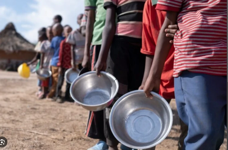 Nearly 282 million people faced acute hunger in 2023: UN-led report