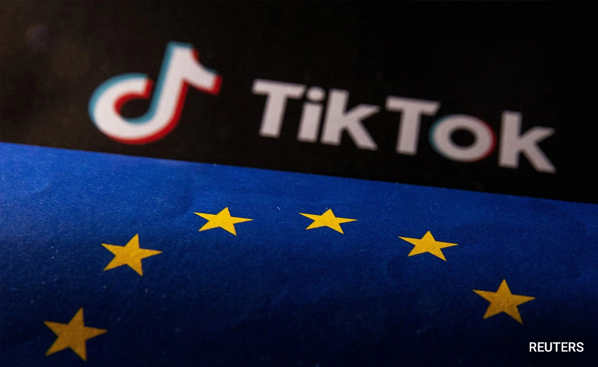 TikTok suspends rewards programme after EU probe