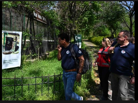 Islamabad’s horror zoo is reborn as rehab centre