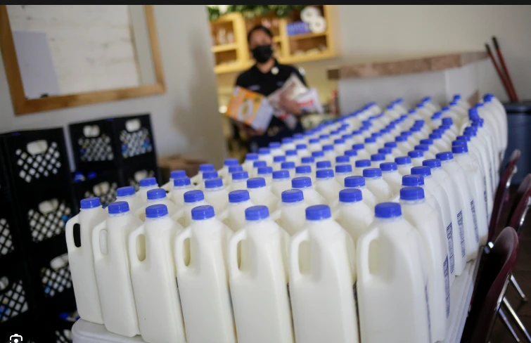 Pasteurized milk 'safe' from bird flu: US officials