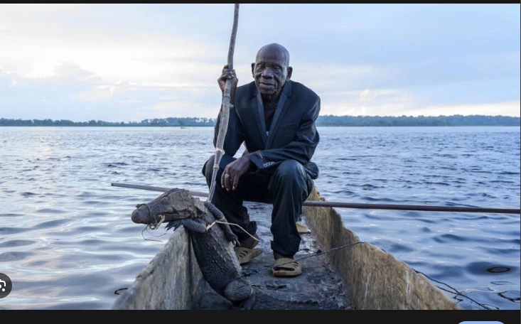 Crocodile hunting wanes but legends live on in DR Congo