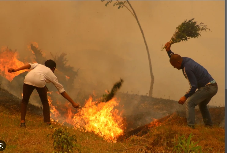 Nepal battles raging wildfires across the country