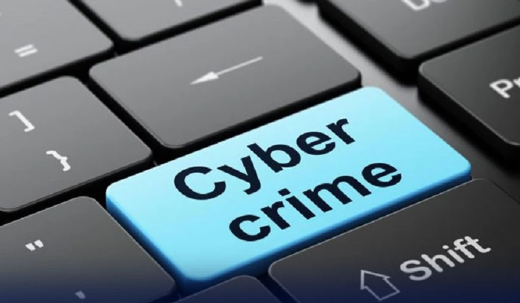 Government sets up National Cybercrime Investigation Agency