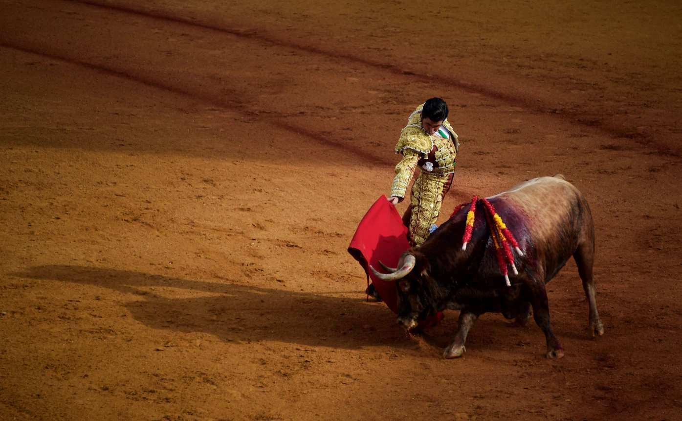 Spain scraps national bullfighting prize sparking debate