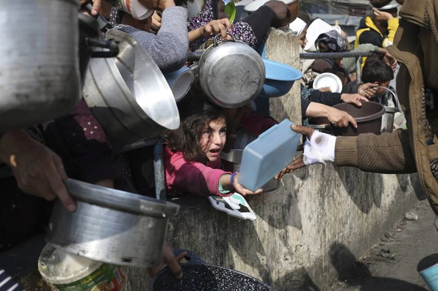 'Full-blown famine' in north Gaza, World Food chief warns