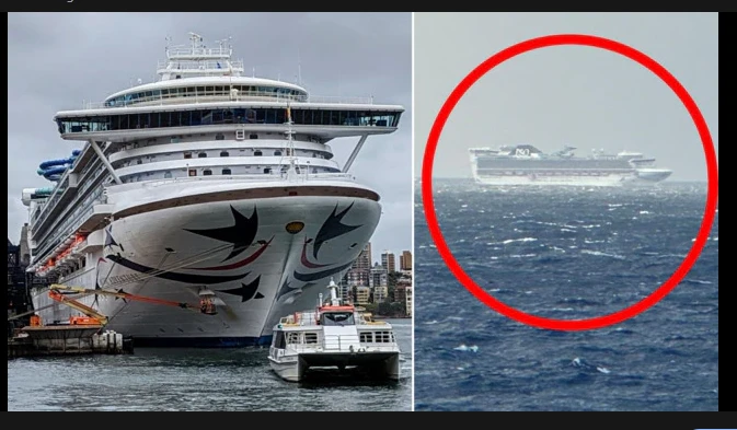 Body found after cruise ship passenger falls overboard off Sydney