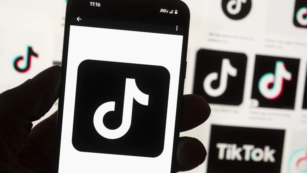 TikTok challenges potential US ban in court