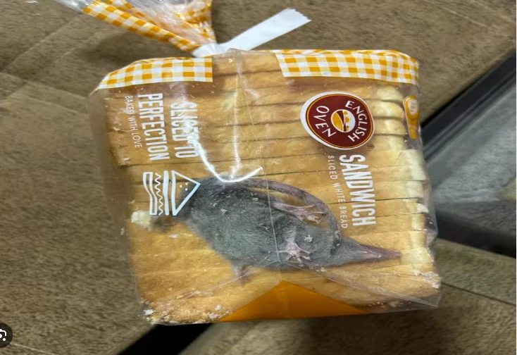 Japan bread recalled after rat parts found inside packs