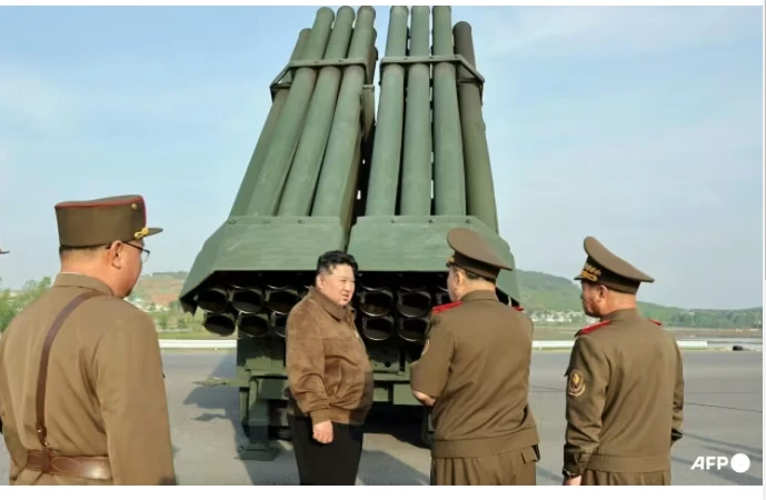 Pyongyang to deploy new multiple rocket launcher this year