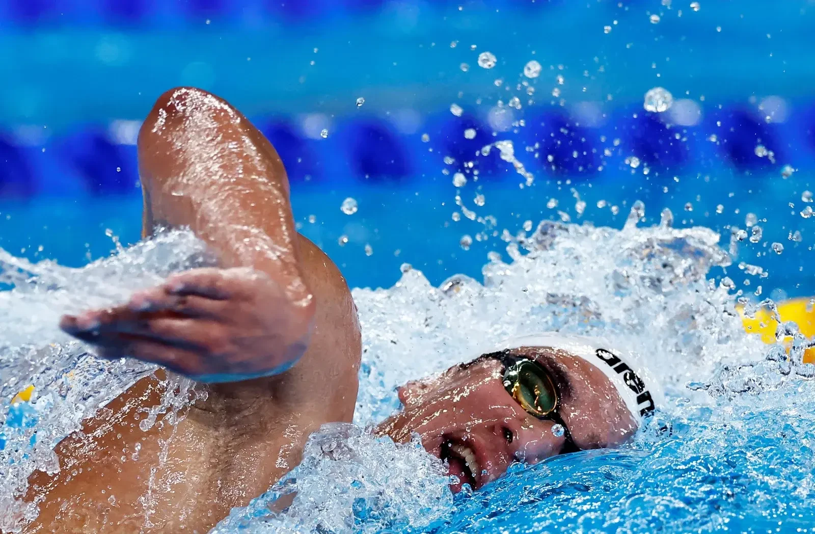 Tunisia punishes swimming federation in dispute over flag