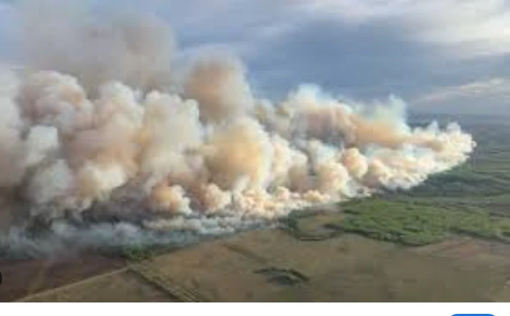 Canadian oil sands city evacuated as wildfire draws near