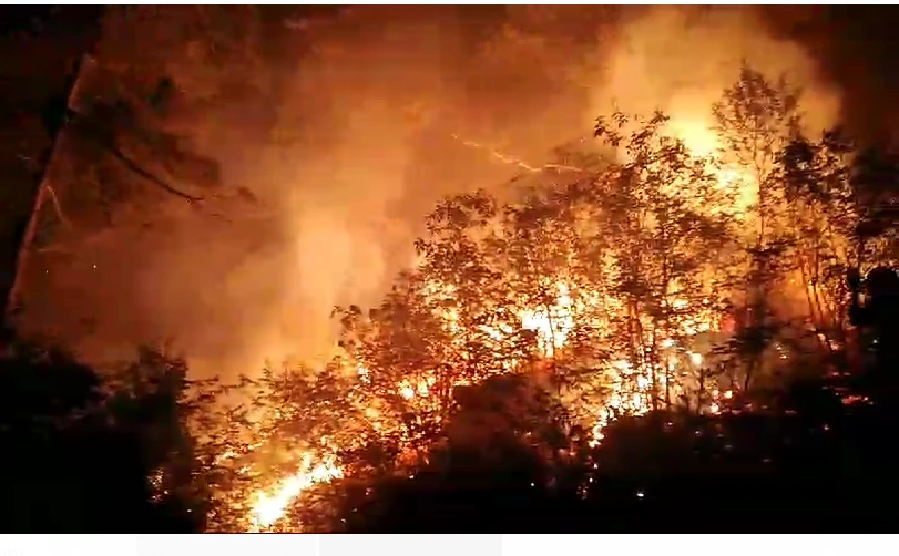 Fire destroys big part of Murree forest