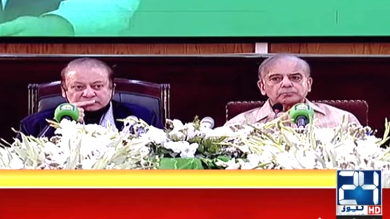 Shehbaz Sharif nominated PML-N acting president