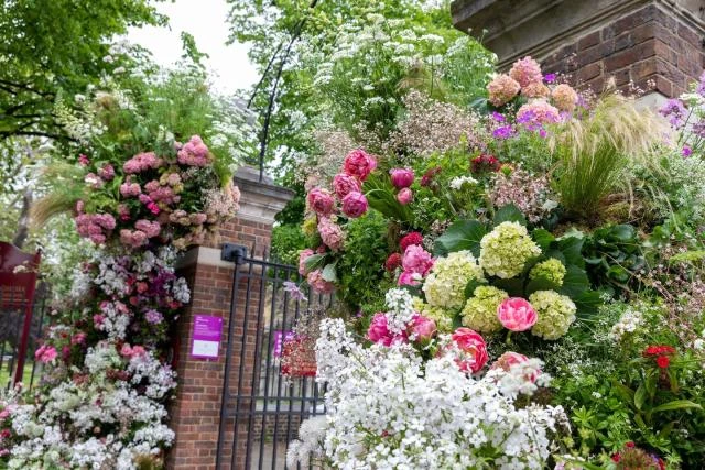 Changing climate influences London's Chelsea Flower Show