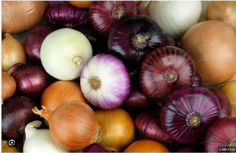 Onion export from Pakistan surpasses other fruits, vegetables this year