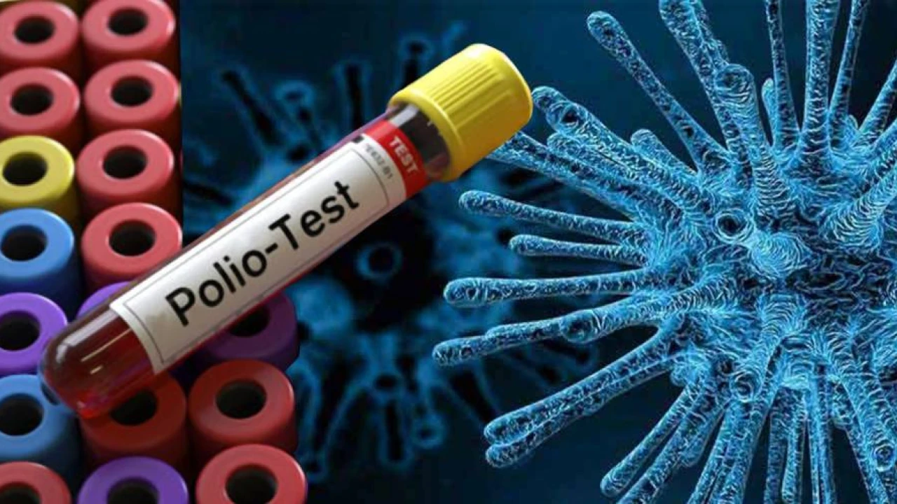 Poliovirus confirmed in Hyderabad, Chaman, Quetta