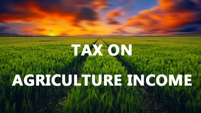 Punjab govt asked to hike agriculture income tax by up to Rs2,000 per acre