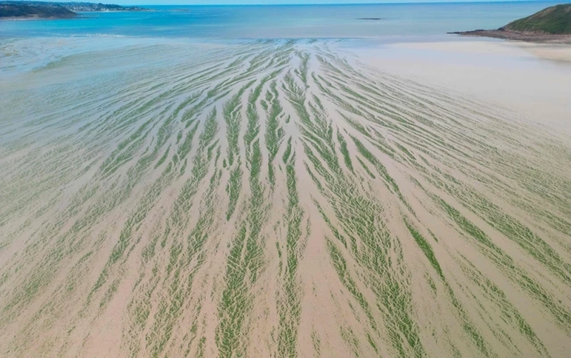 France's historic D-Day beaches threatened by rising sea levels