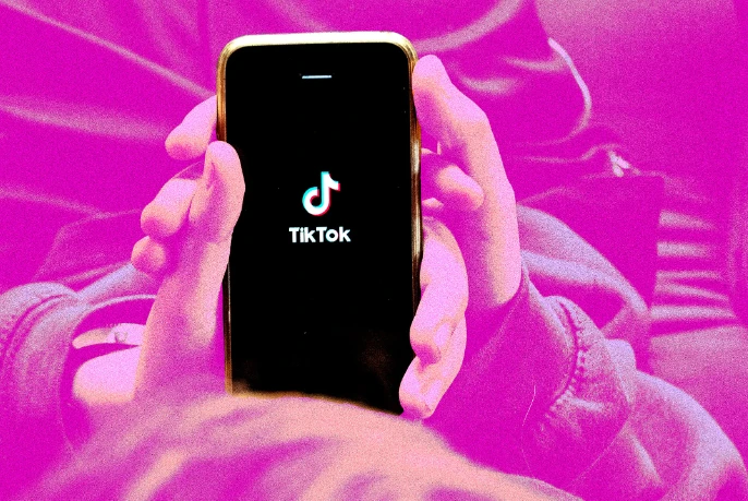 KP Speaker urged to impose ban on use of TikTok by police