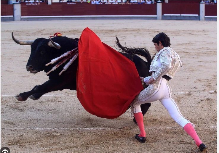 Colombia congress passes bill banning bullfighting