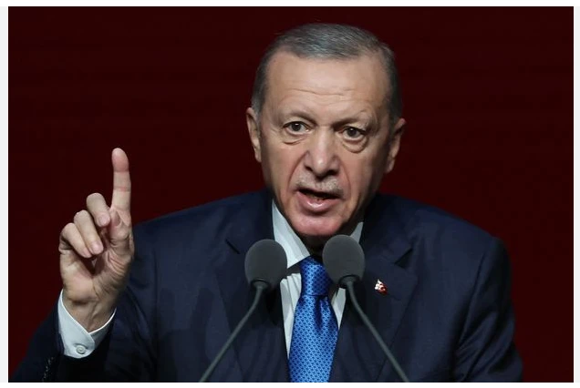 Erdogan calls on Islamic world to take action over Gaza