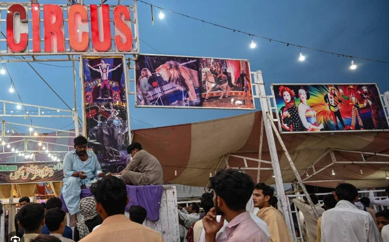 Pakistan's Sufi festivals reclaim spirit after violence