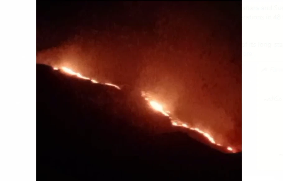 Fire breaks out in forests of Kalachita Hills in Attock 