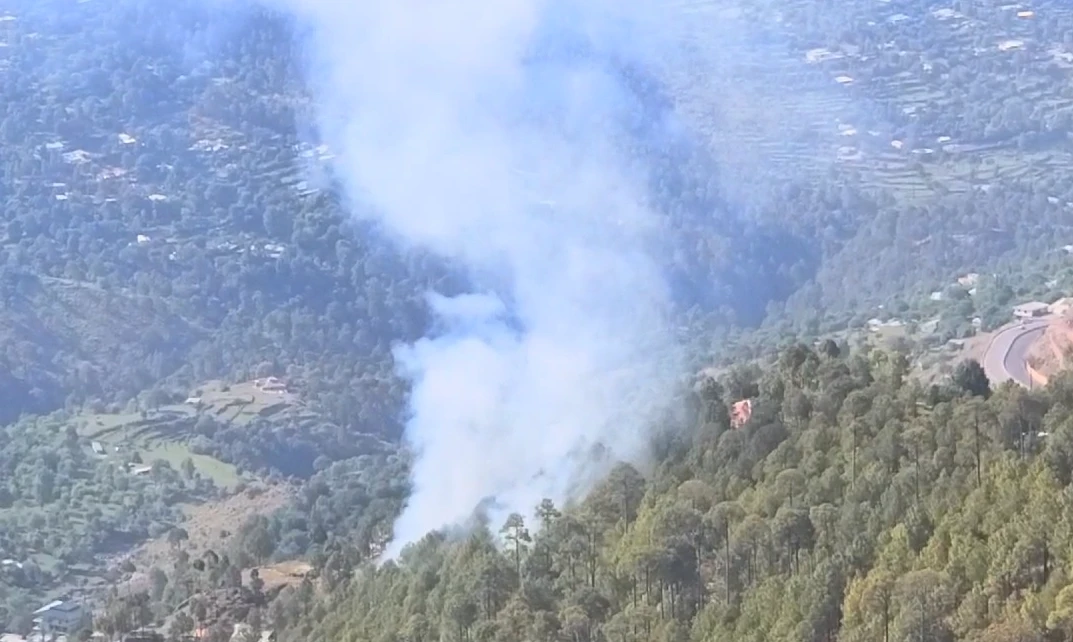 Billion Tree forest on fire in Khanpur