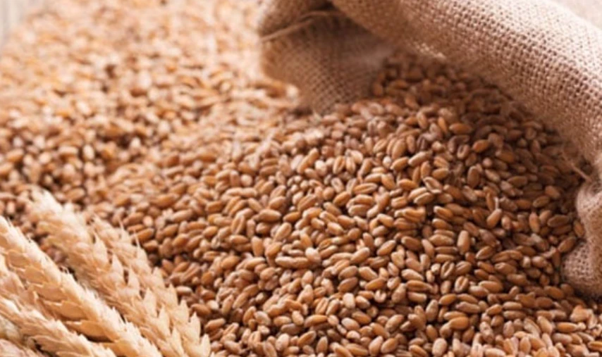 Wheat import scandal: Former Food Security Commissioner chargesheeeted