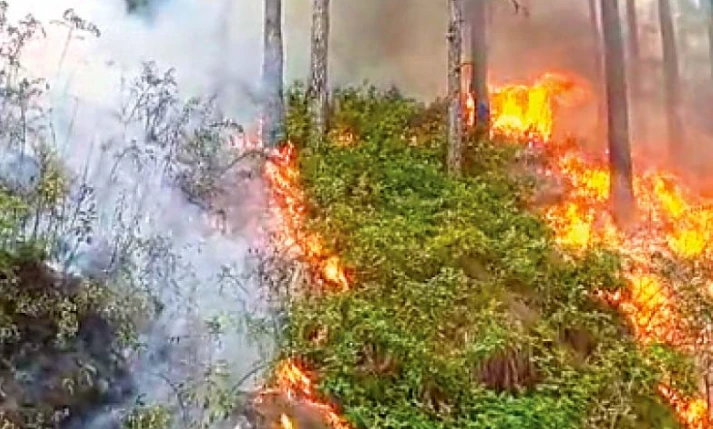 Fire breaks out in forests of Kahuta