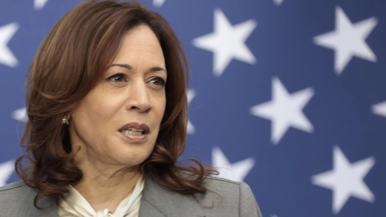 US VP Harris to attend Ukraine summit as Biden skips