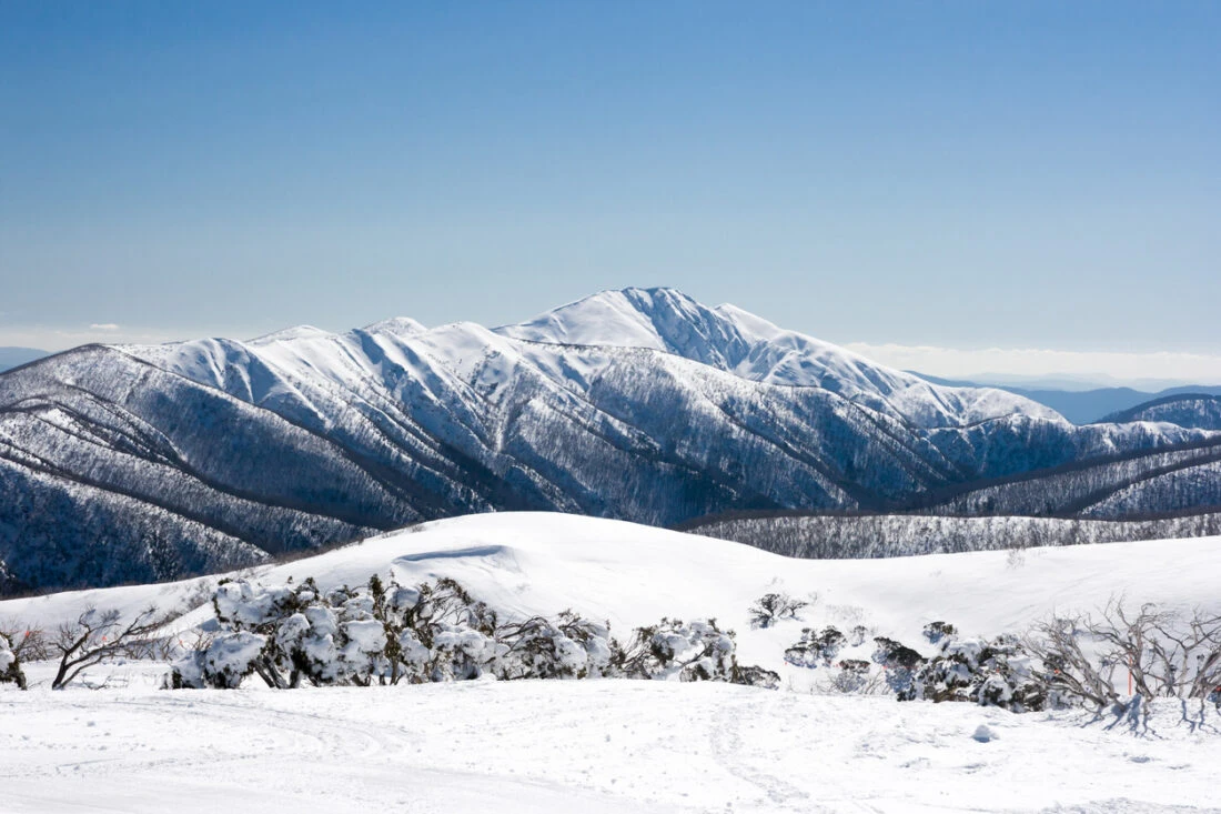 Climate change threatens Australia's snowy Alps