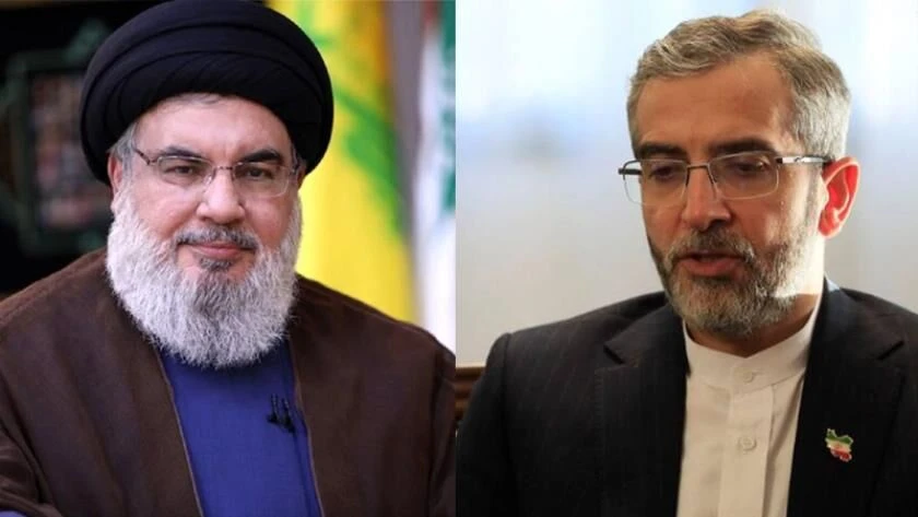 Iran acting FM discusses Gaza war with Hezbollah chief