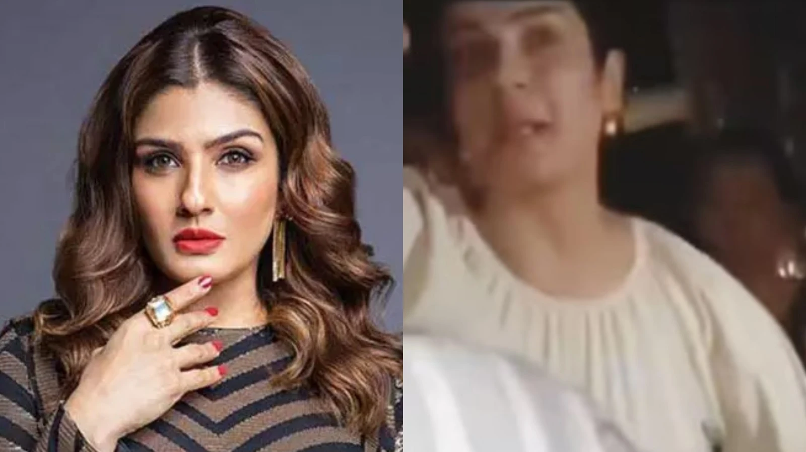 ‘Get dashcams, CCTVs now’, Raveena Tandon reacts to road rage incident