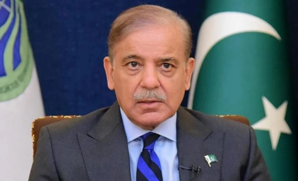 PM Shehbaz constitutes National Economic Council