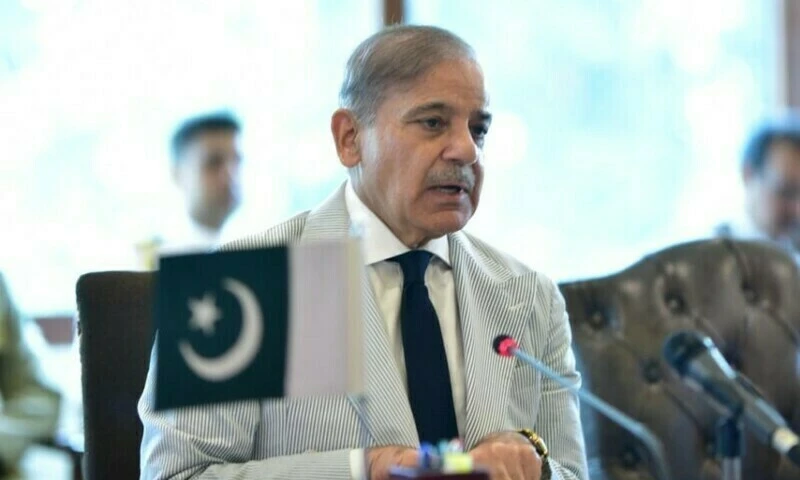 PM Shehbaz Sharif to expand cabinet after budget