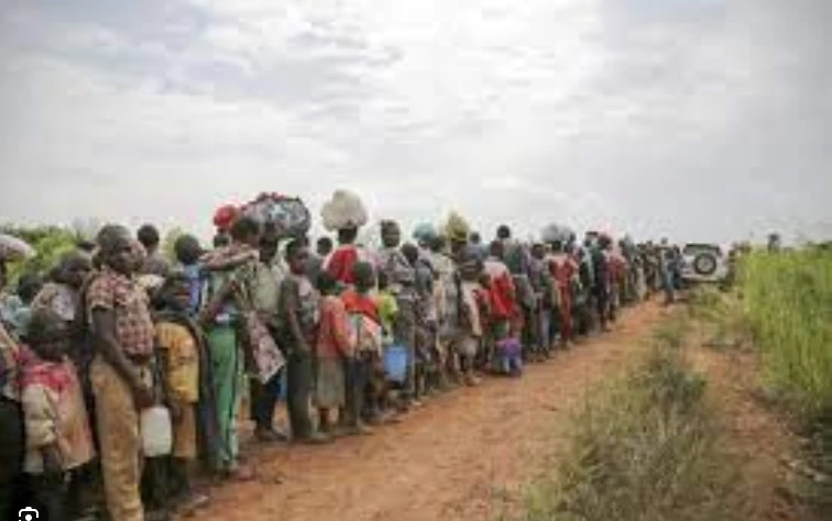 Record 120 million people forcibly displaced globally: UN