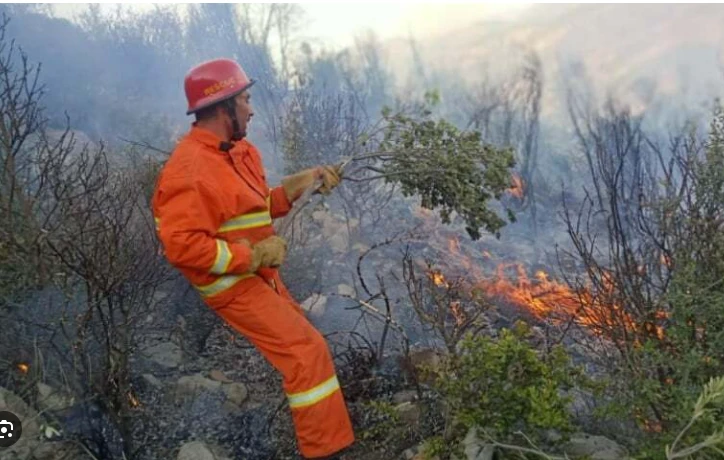 Fire breaks out again in Swabi forests