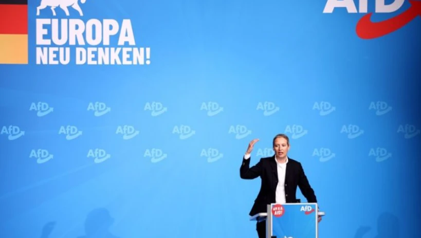 Germany's AfD 'confident' about finding new EU partners