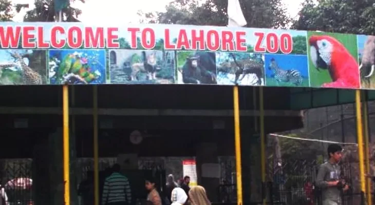 Lahore Zoo to Reopen for Public and Children on Eid