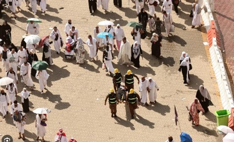 550 pilgrims, mostly Egyptians, died during Hajj