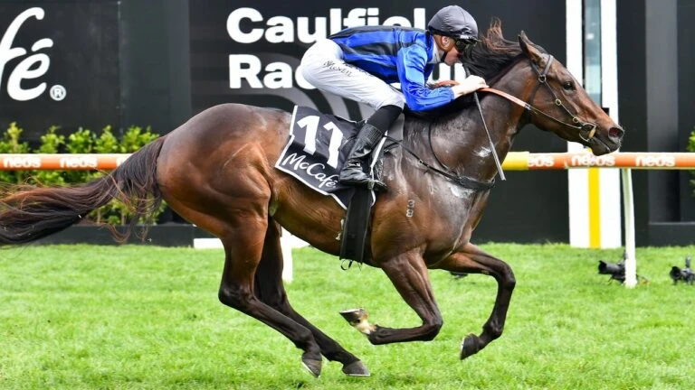 'Audacious plan' pays off as Asfoora strikes for Australia at Royal Ascot