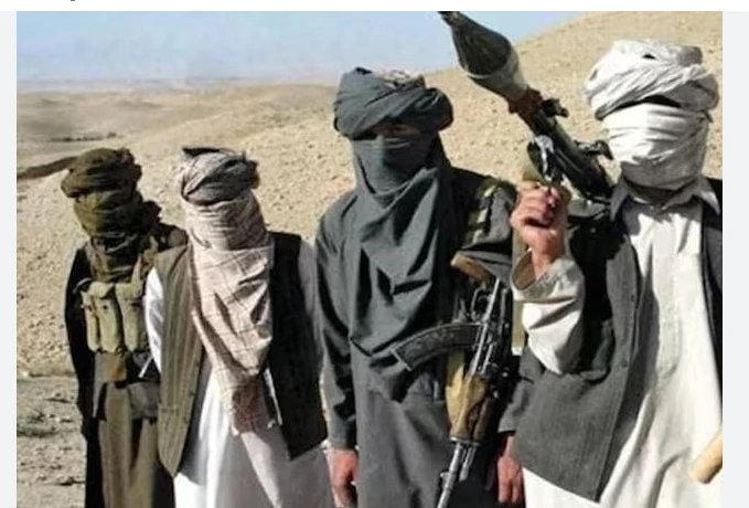 Another TTP commander killed in Afghanistan