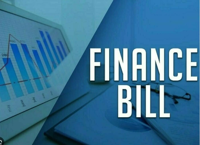 Committees formed to detect anomalies in Finance Bill, 2024