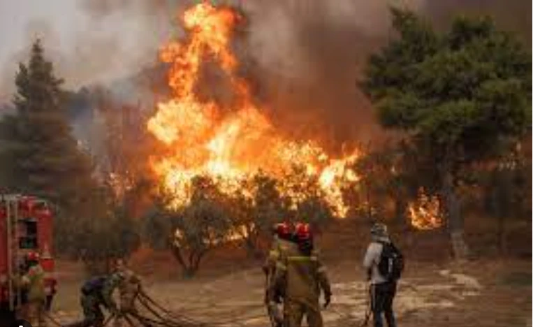 Five dead, dozens hurt in Turkey wildfires